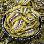 Dried Kiwi