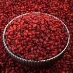 Barberry