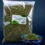 Dried Dill