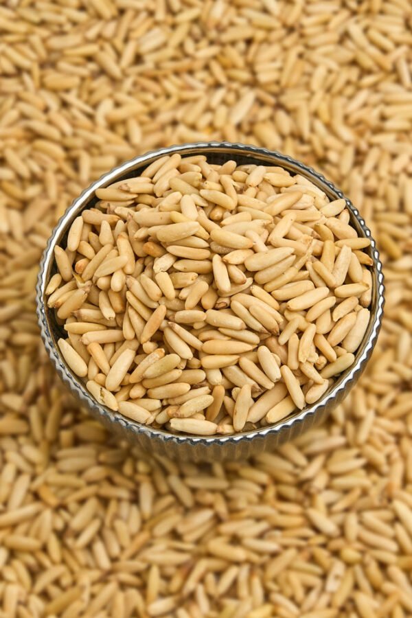 Pine Nuts